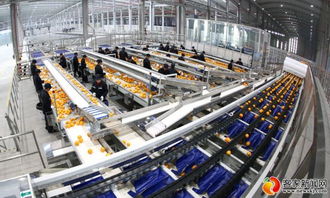 农夫山泉信丰工厂竣工投产，打造技术驱动新标杆，预计年销售额达4.5亿元